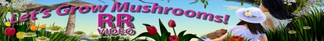 Mushroom Videos Mushroom Videos