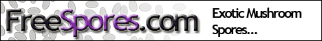 FreeSpores.com FreeSpores.com