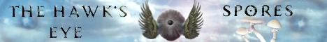 The Hawk's Eye