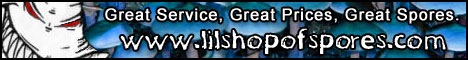 Lil Shop Of Spores Lil Shop Of Spores