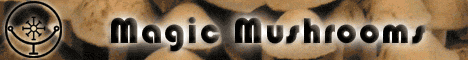 MagicMushrooms.org MagicMushrooms.org