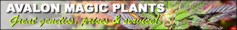 Avalon Magic Plants Avalon Magic Plants