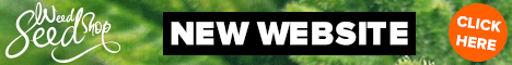 Weed Seed Shop Weed Seed Shop