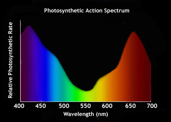 475052779-action_spectrum.jpg