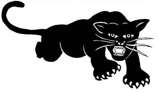 870487343-Black_Panther_Party_logo.jpg