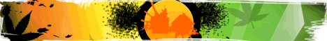 Gorilla Cannabis Seeds Gorilla Cannabis Seeds