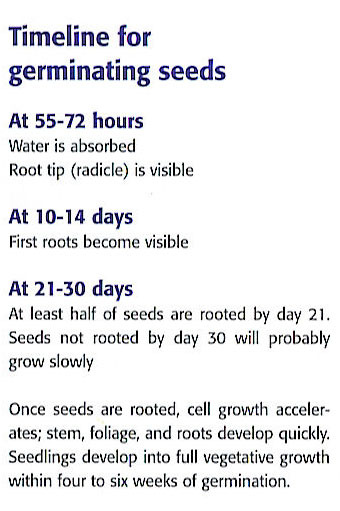  Discussion 2 03 02 2010 The Germination Process And Techniques 