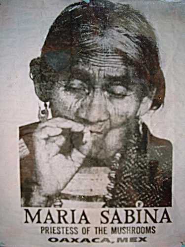This picutre of Maria Sabina gives me chills... - The Pub - Shroomery ...