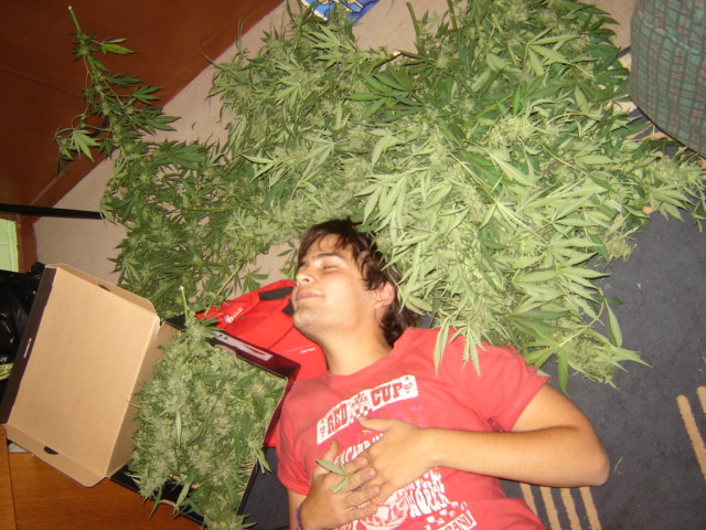 Barry Cooper's "Never Get Busted" Vol. 2: Never Get Raided (Full Length • HD) - The Pub