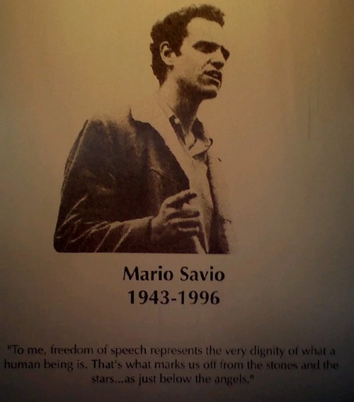 Image result for mario savio 1990