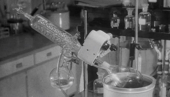 Learyfan interview with Dark Star The Pub Shroomery Message Board Learyfan interview with Dark Star The Pub Shroomery Message Board