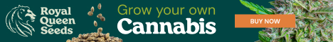 Royal Queen Seeds Cannabis Seeds