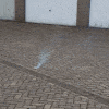 :firecracker: