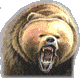 :grizzlybear: