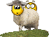 :sheepfucker: