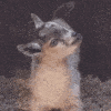 :wutgoat: